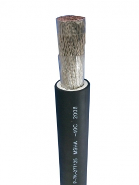 机车车辆线DLO副本